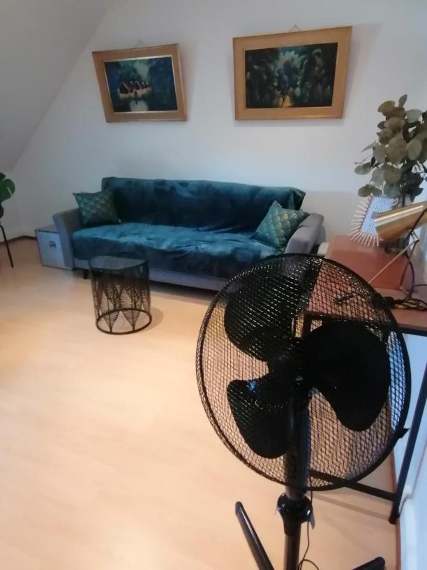 Appartamento Chez Carine Schiltigheim Esterno foto